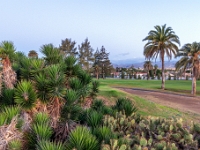 Dunes de Maspalomas